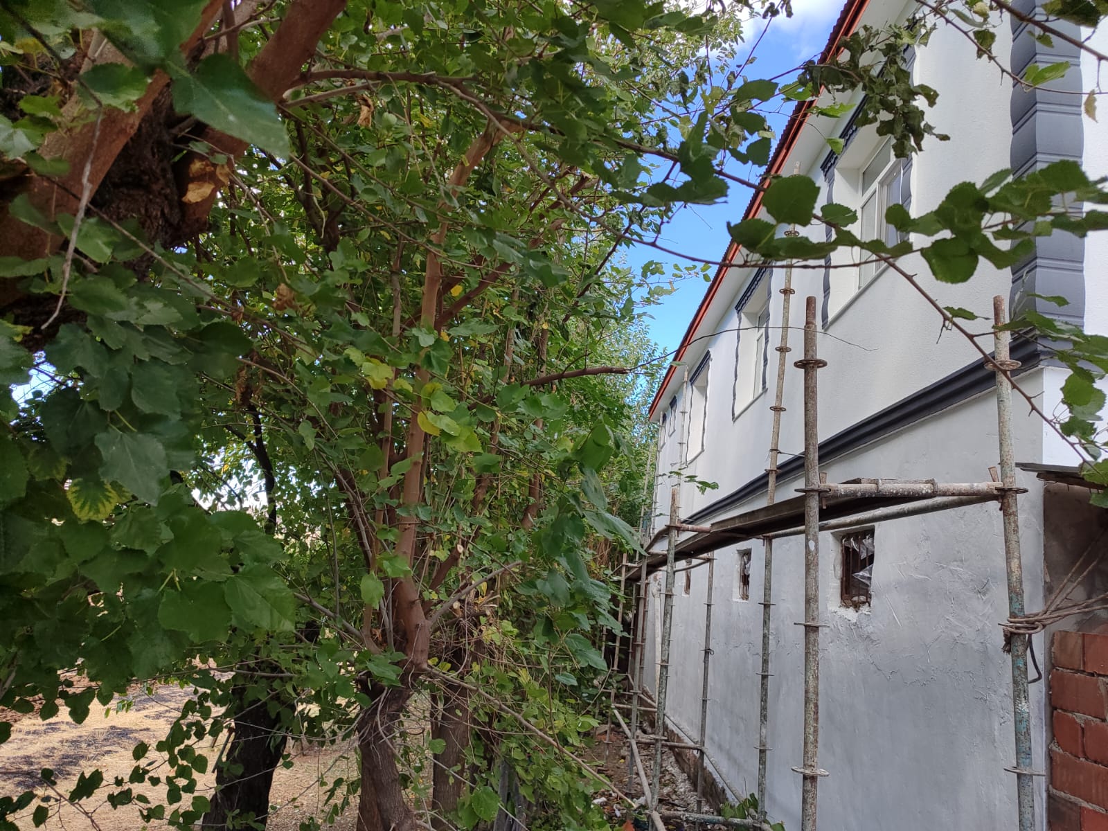 WhatsApp Image 2025-07-12 at 15.22.16 (1)